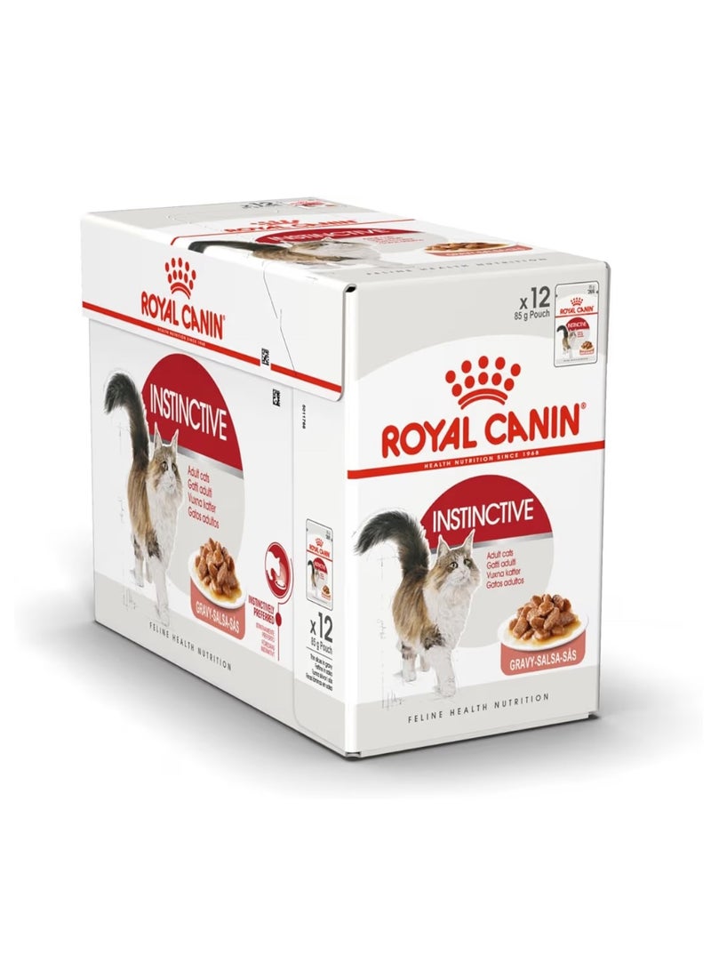 رويال كانين، طعام رطب للقطط البالغة، مرق، 12 كيس × 85 غرام